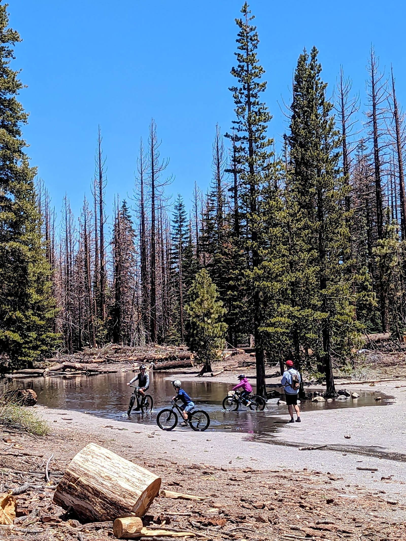 pxl_20230616_1930422622
