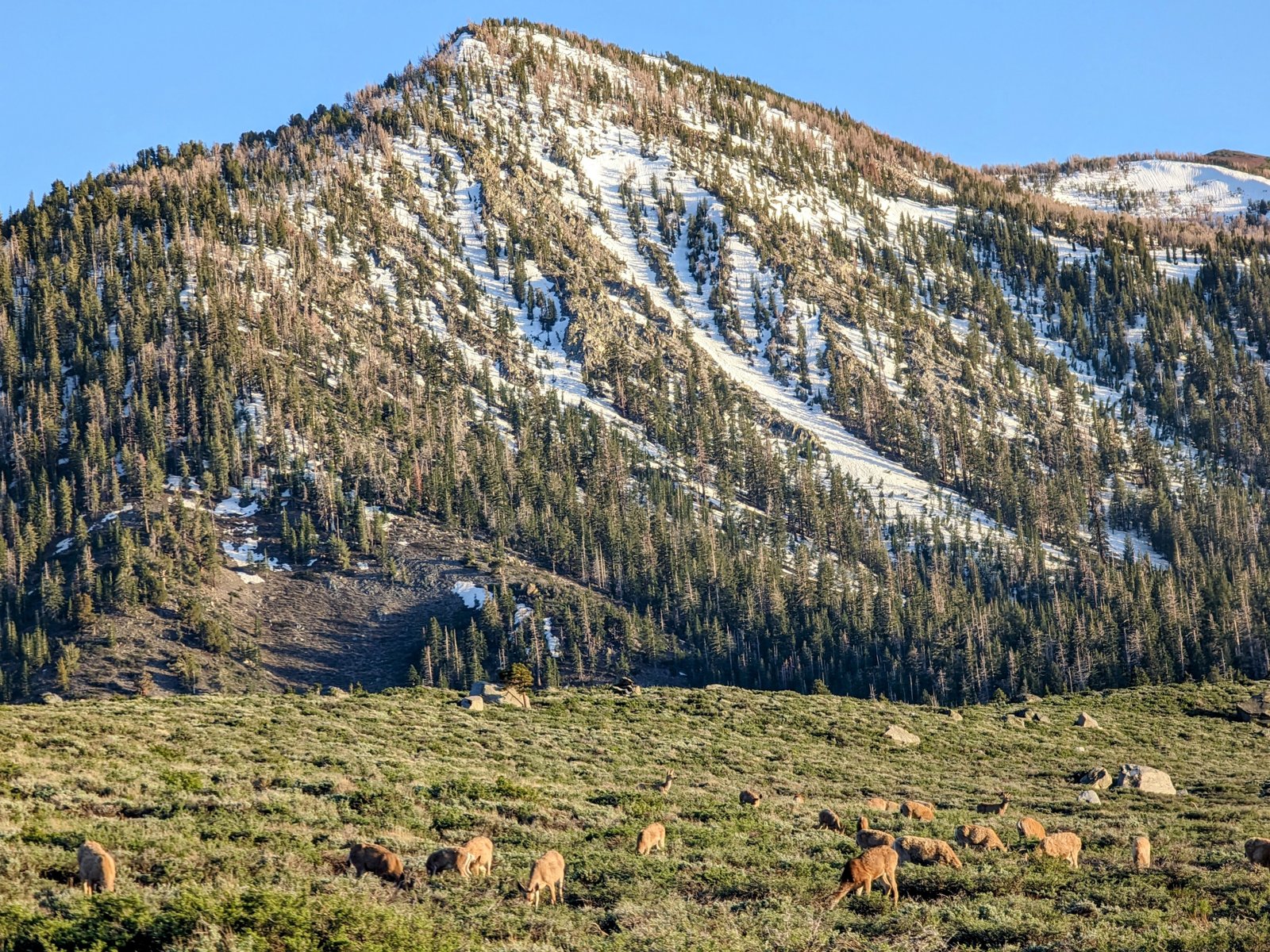 pxl_20230617_0240247052
