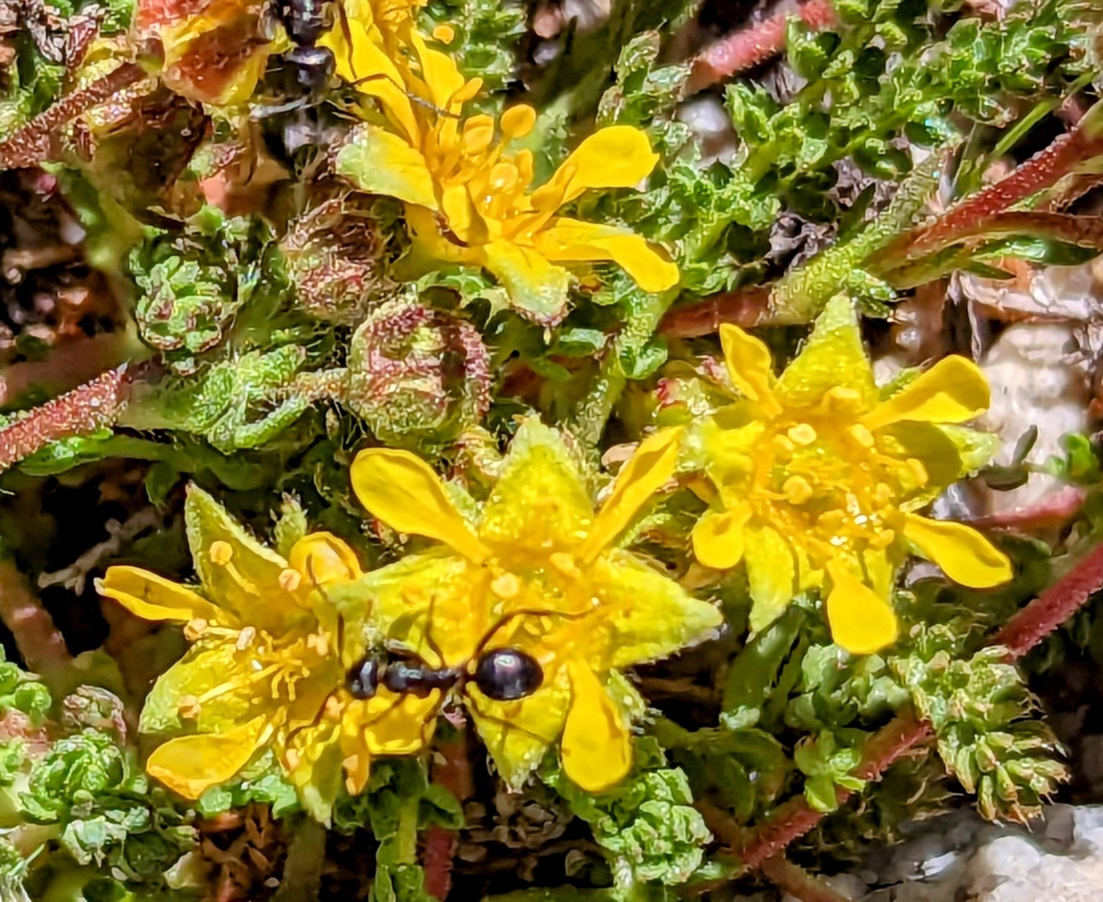 pxl_20230726_1724394262