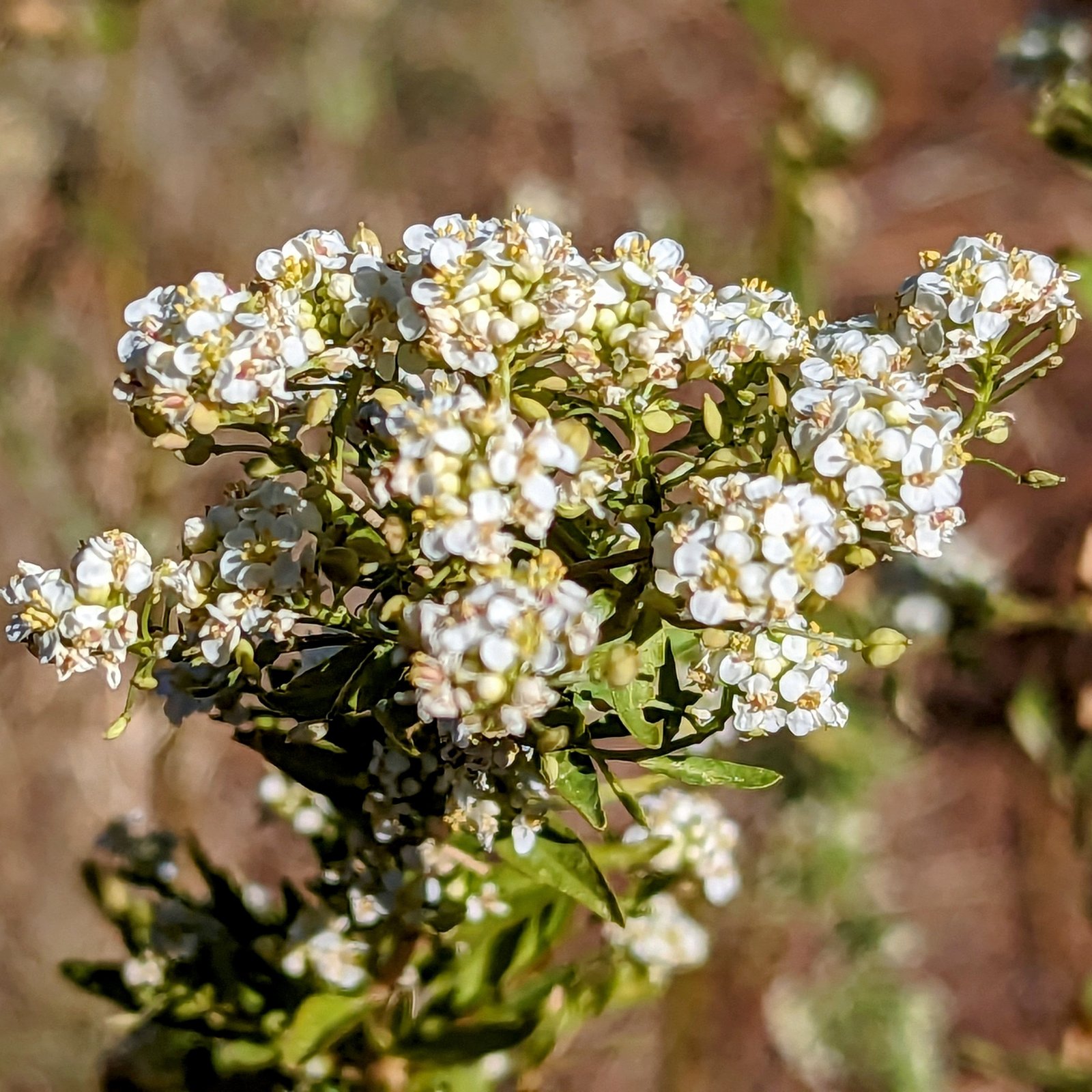 pxl_20231005_1623156672