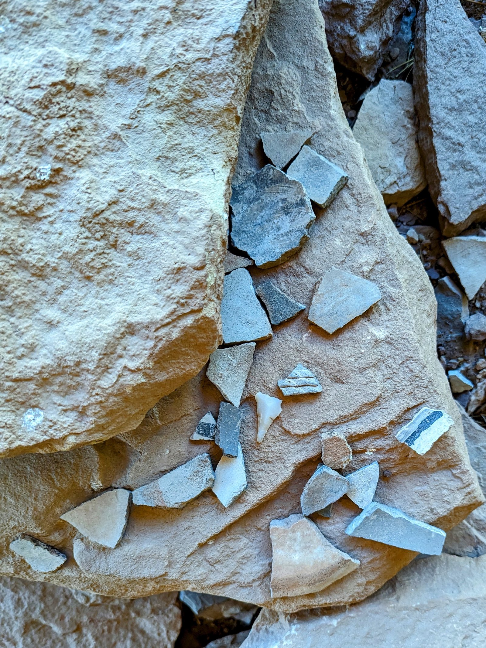 pxl_20231007_1617065042