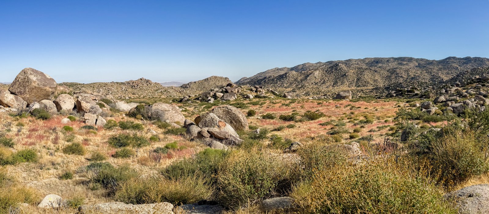 img_4675-pano