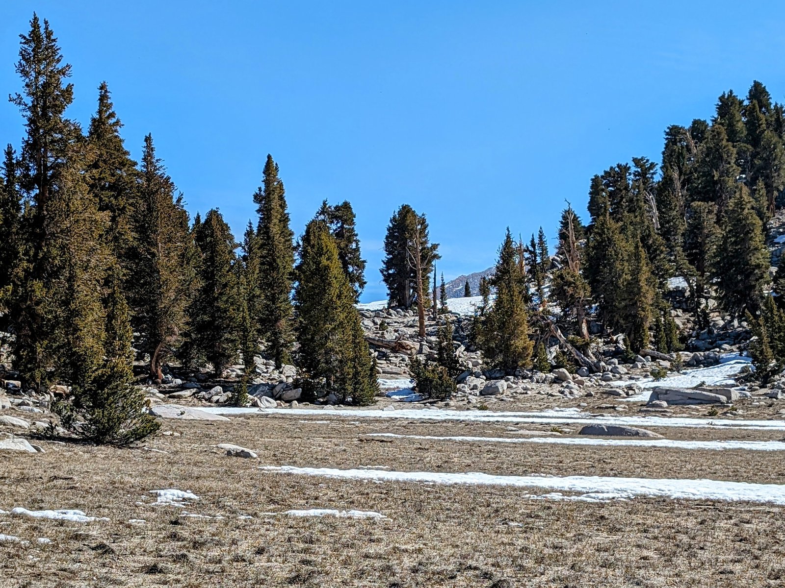 pxl_20240602_1609343632