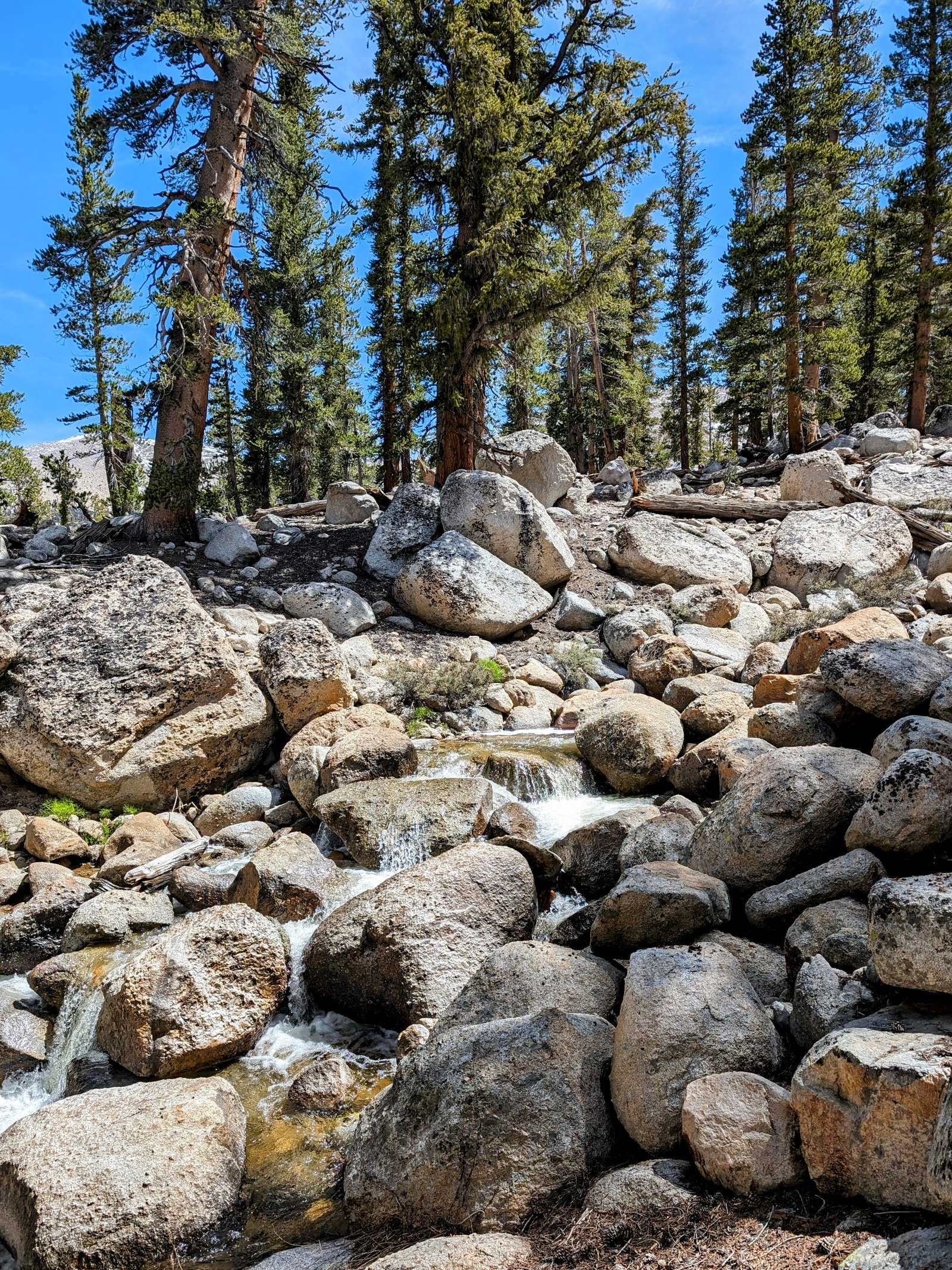 pxl_20240602_1753170192