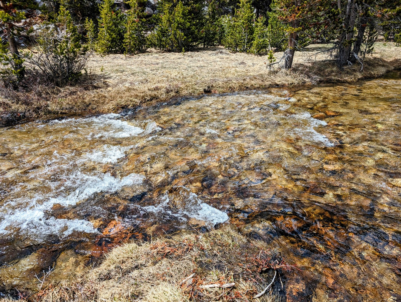 pxl_20240602_2109063192