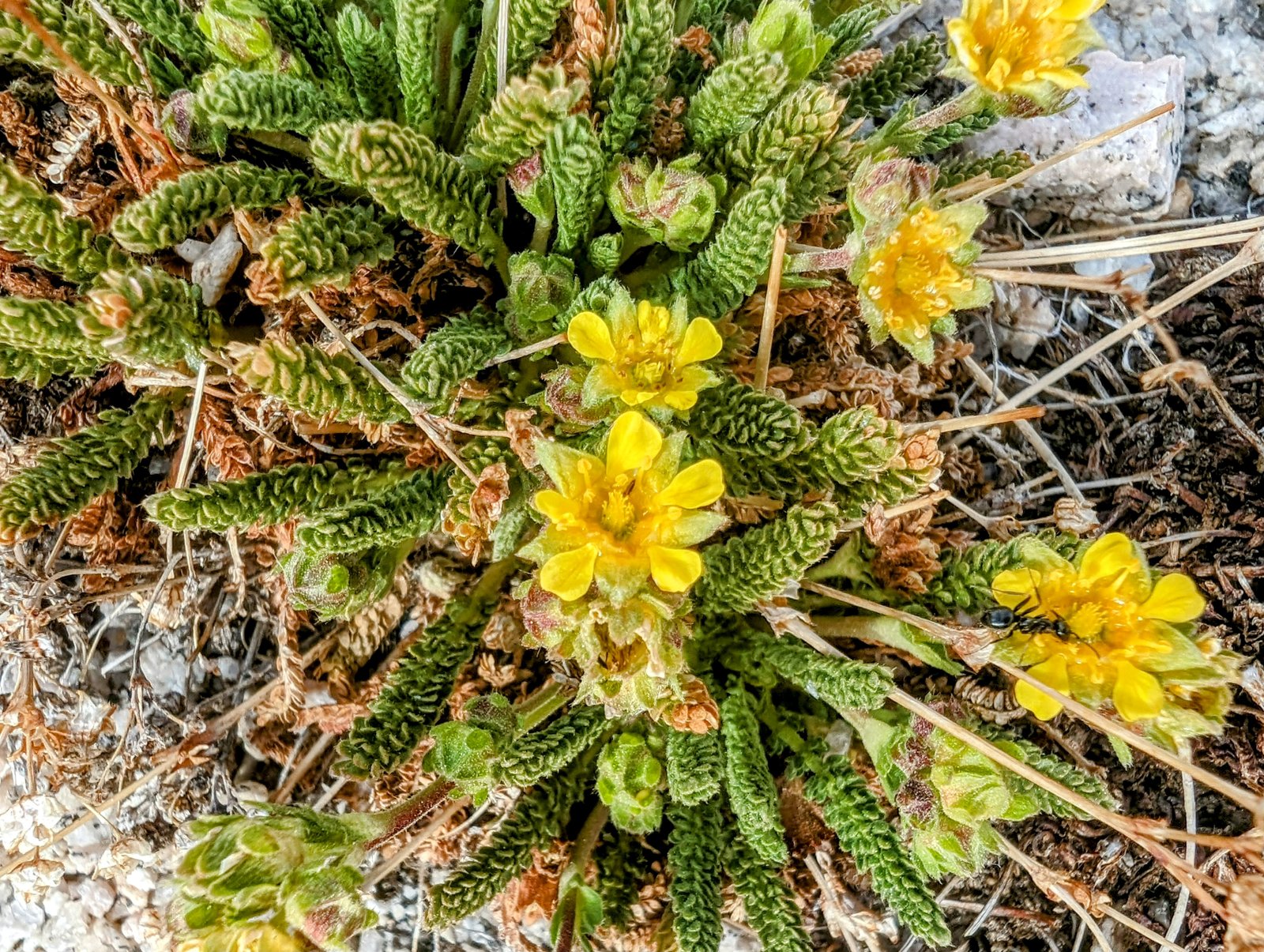pxl_20240602_2348195243