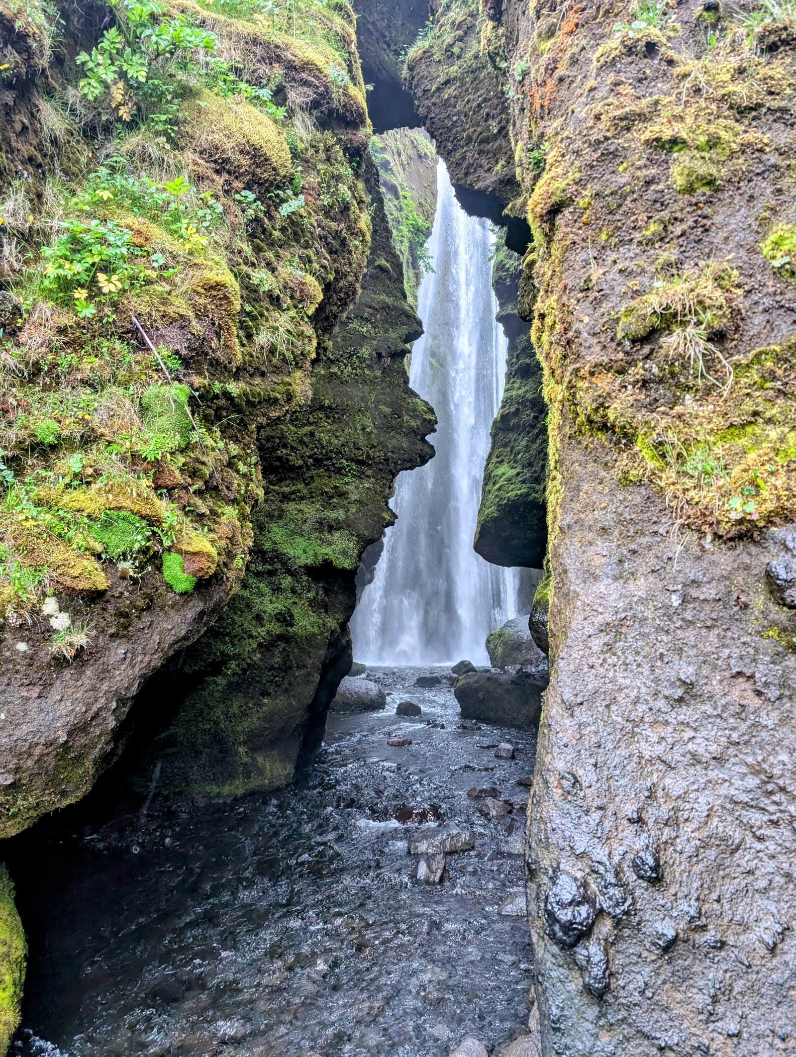pxl_20240718_0552327432