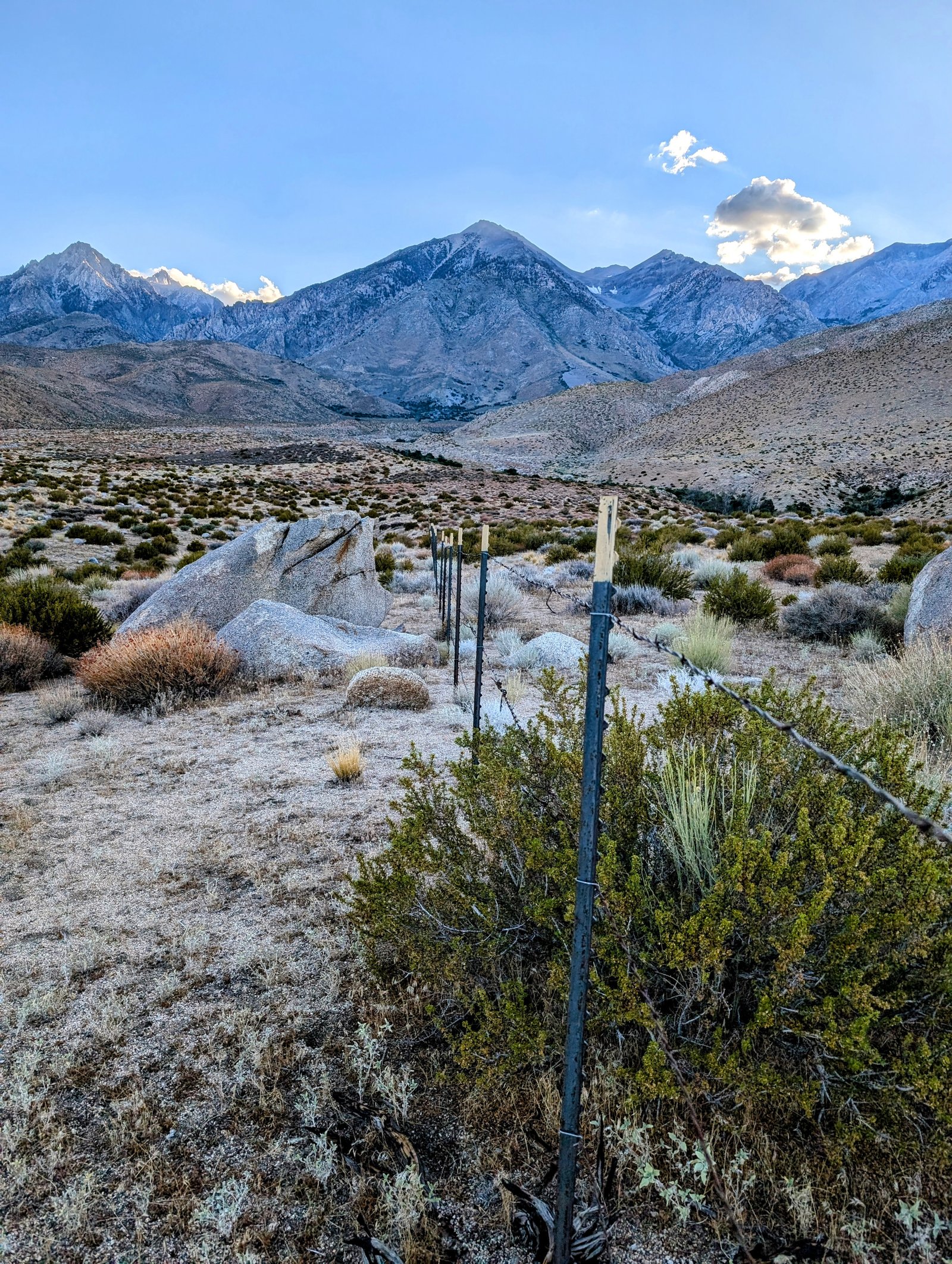pxl_20240727_0205509692