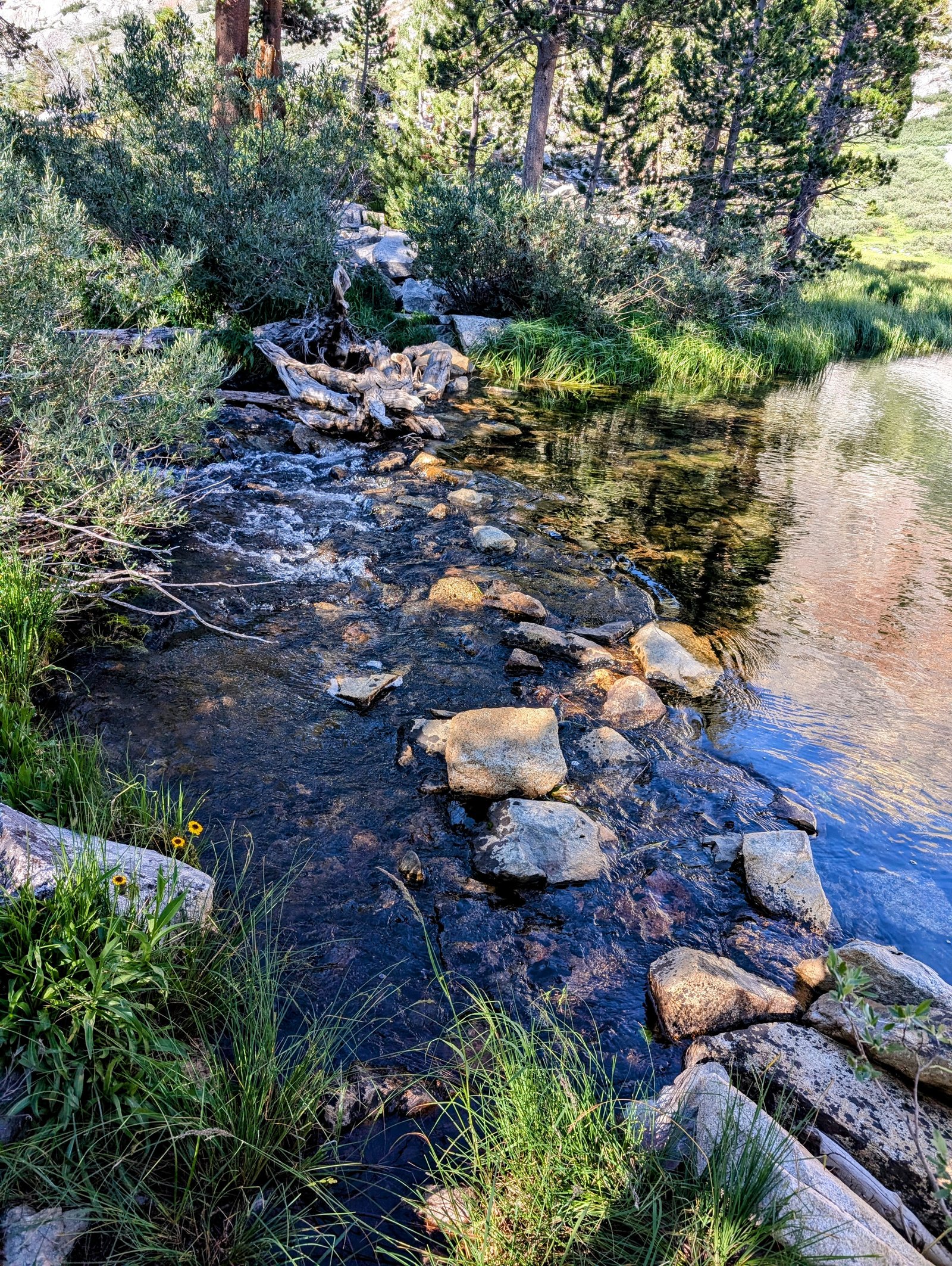 pxl_20240728_0045119302