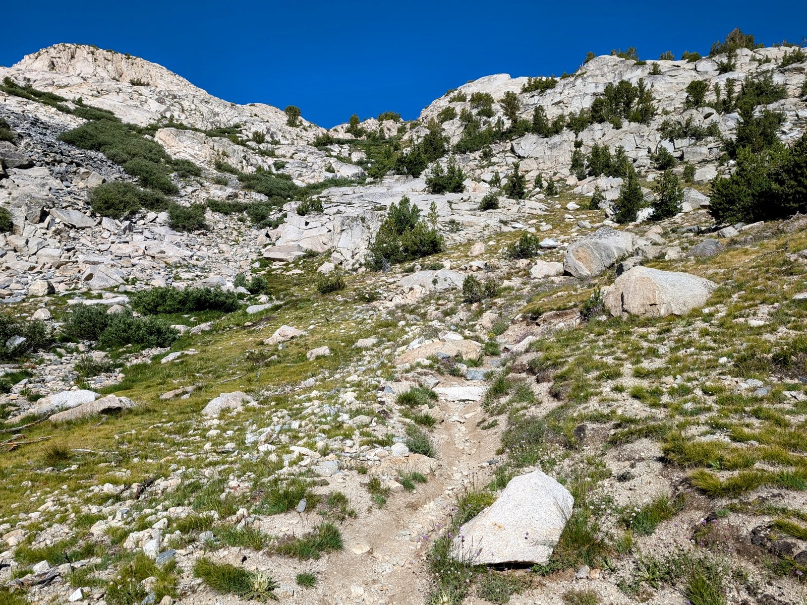 pxl_20240728_1519564733