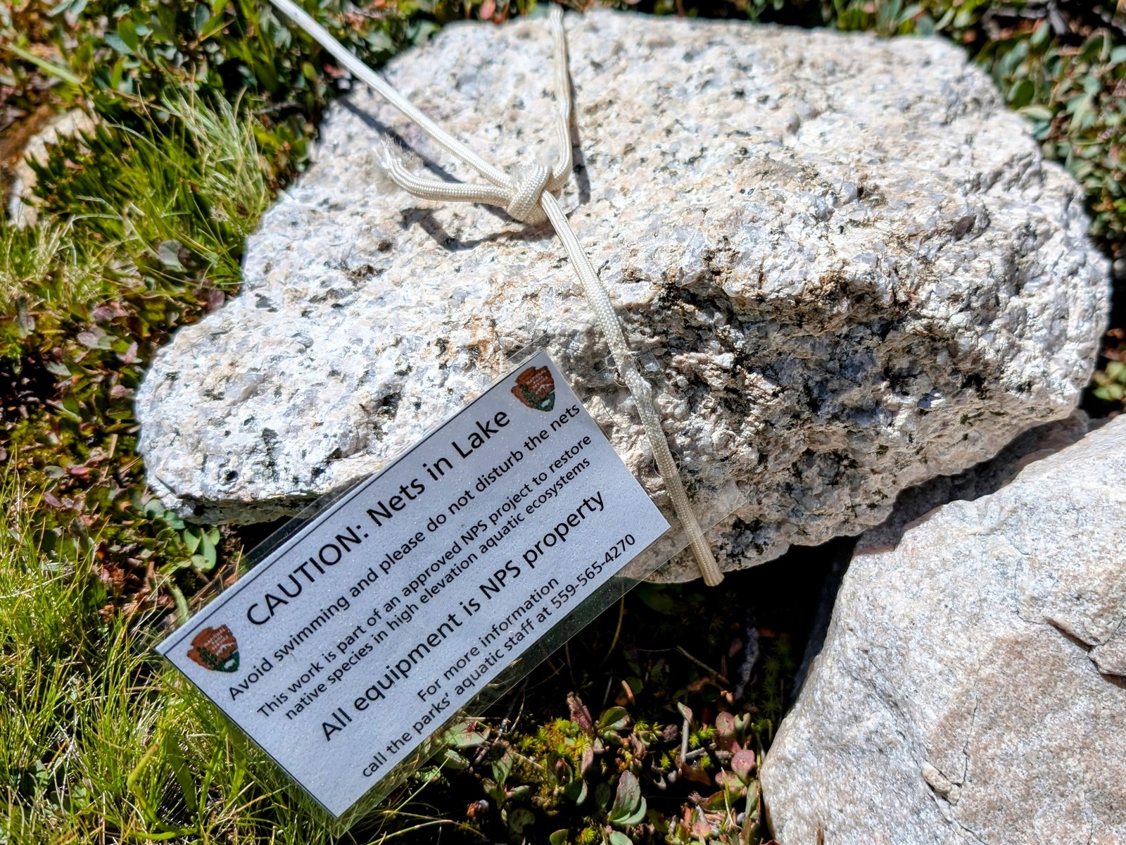 pxl_20240728_1650524752
