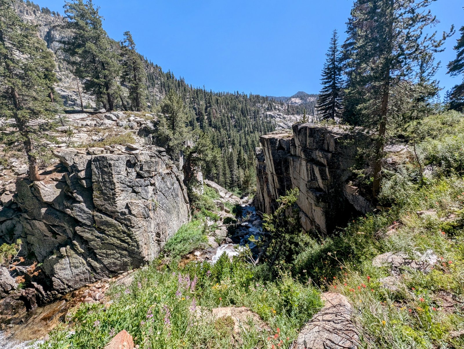 pxl_20240728_2205023452