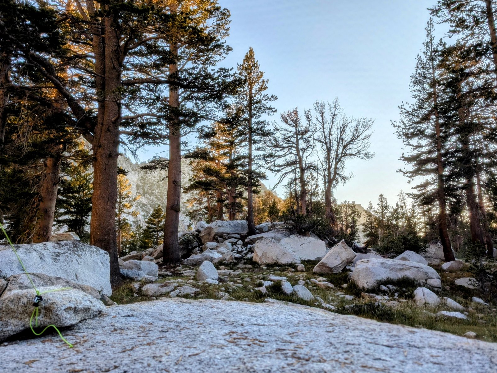 pxl_20240729_0240422532