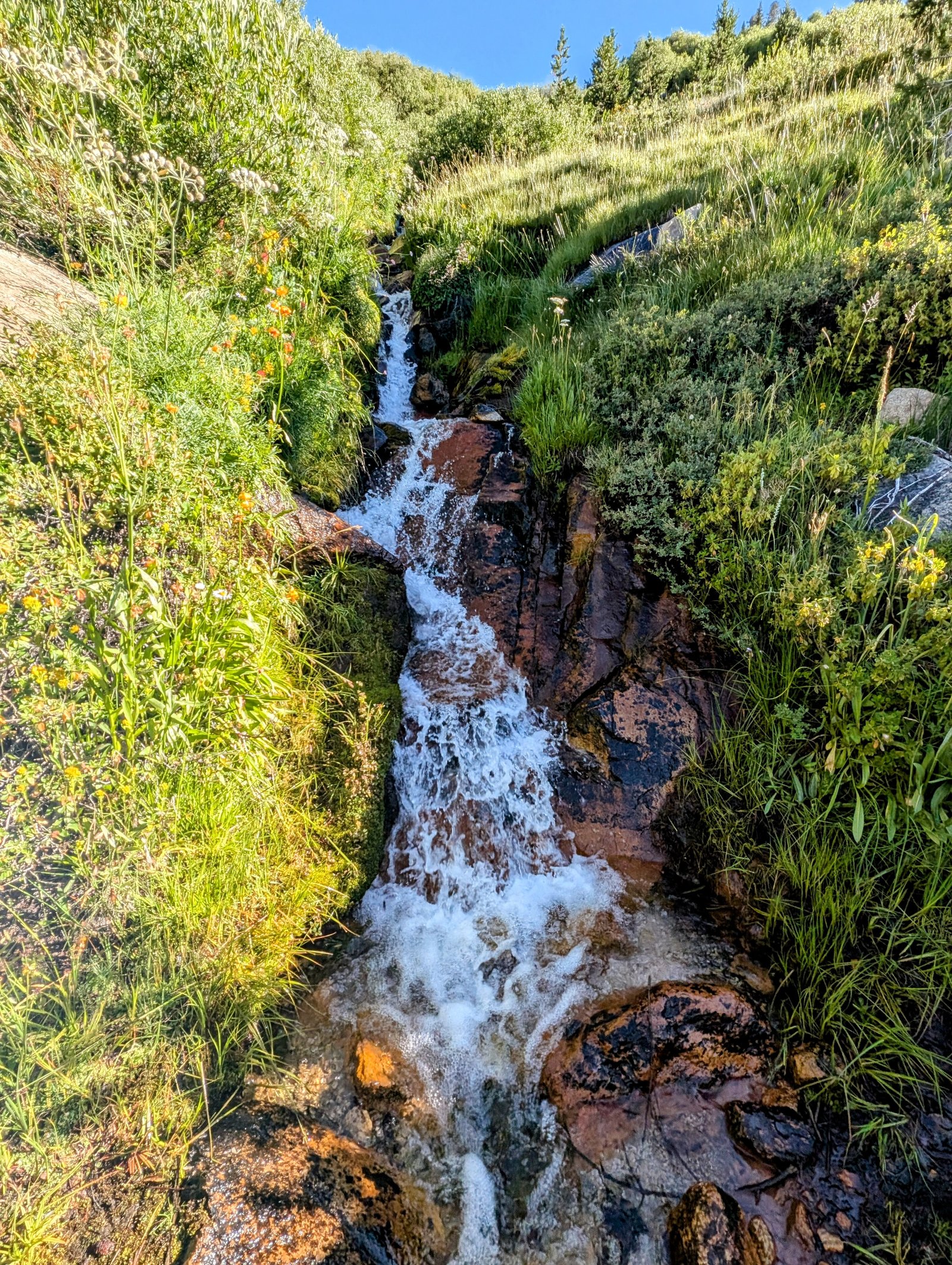 pxl_20240729_1525455512