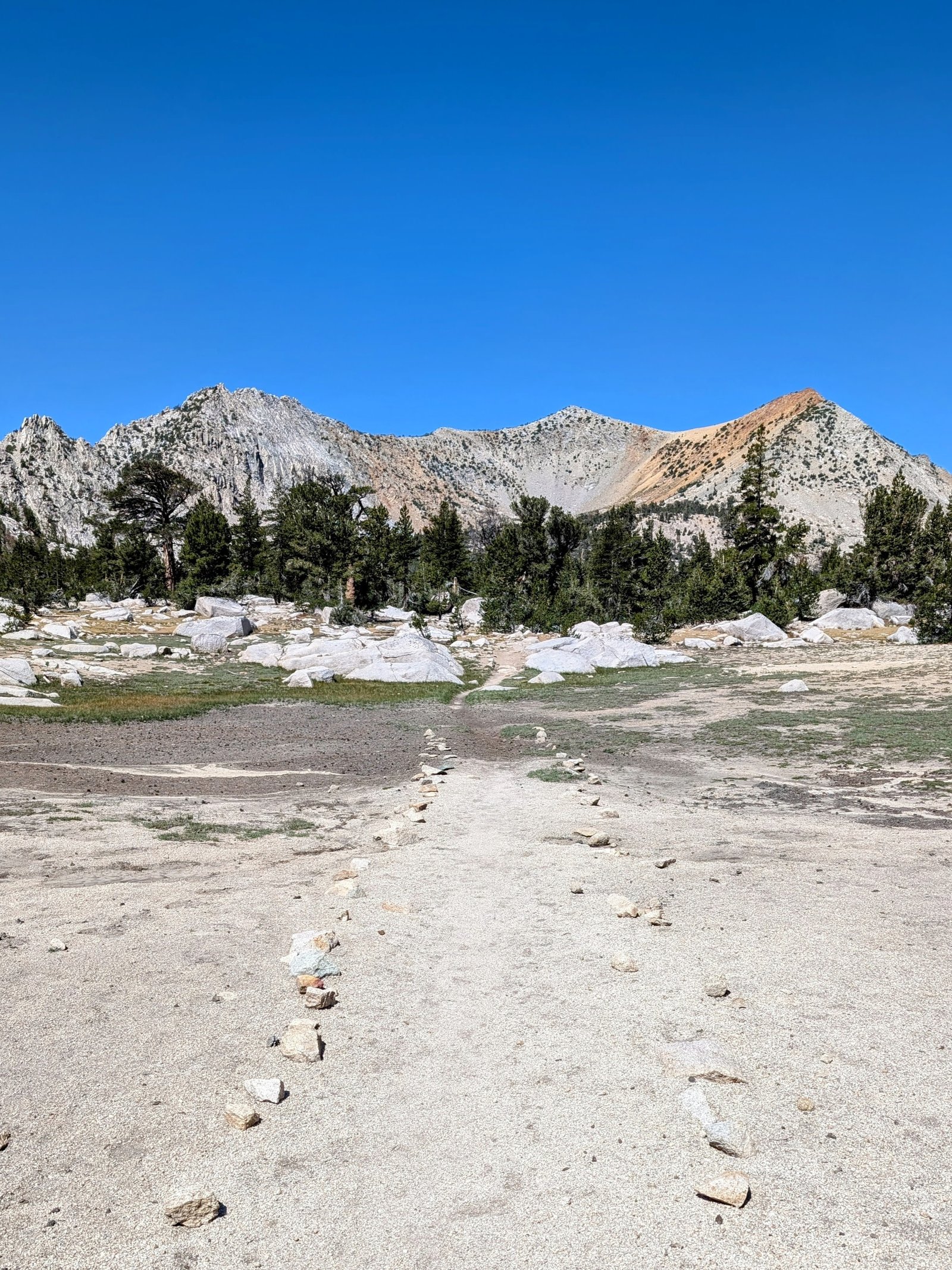 pxl_20240729_1732183062