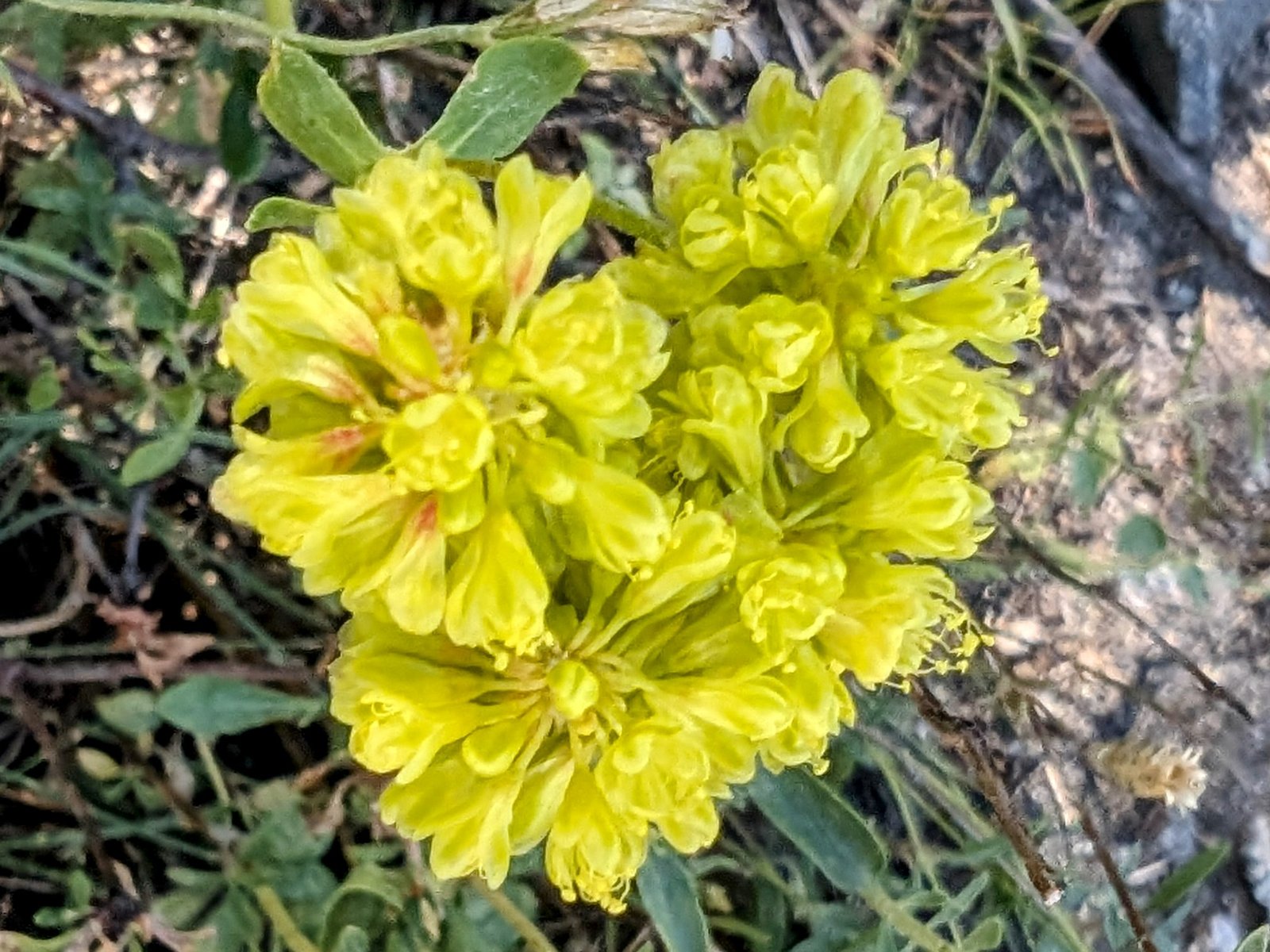 pxl_20240814_2203497662