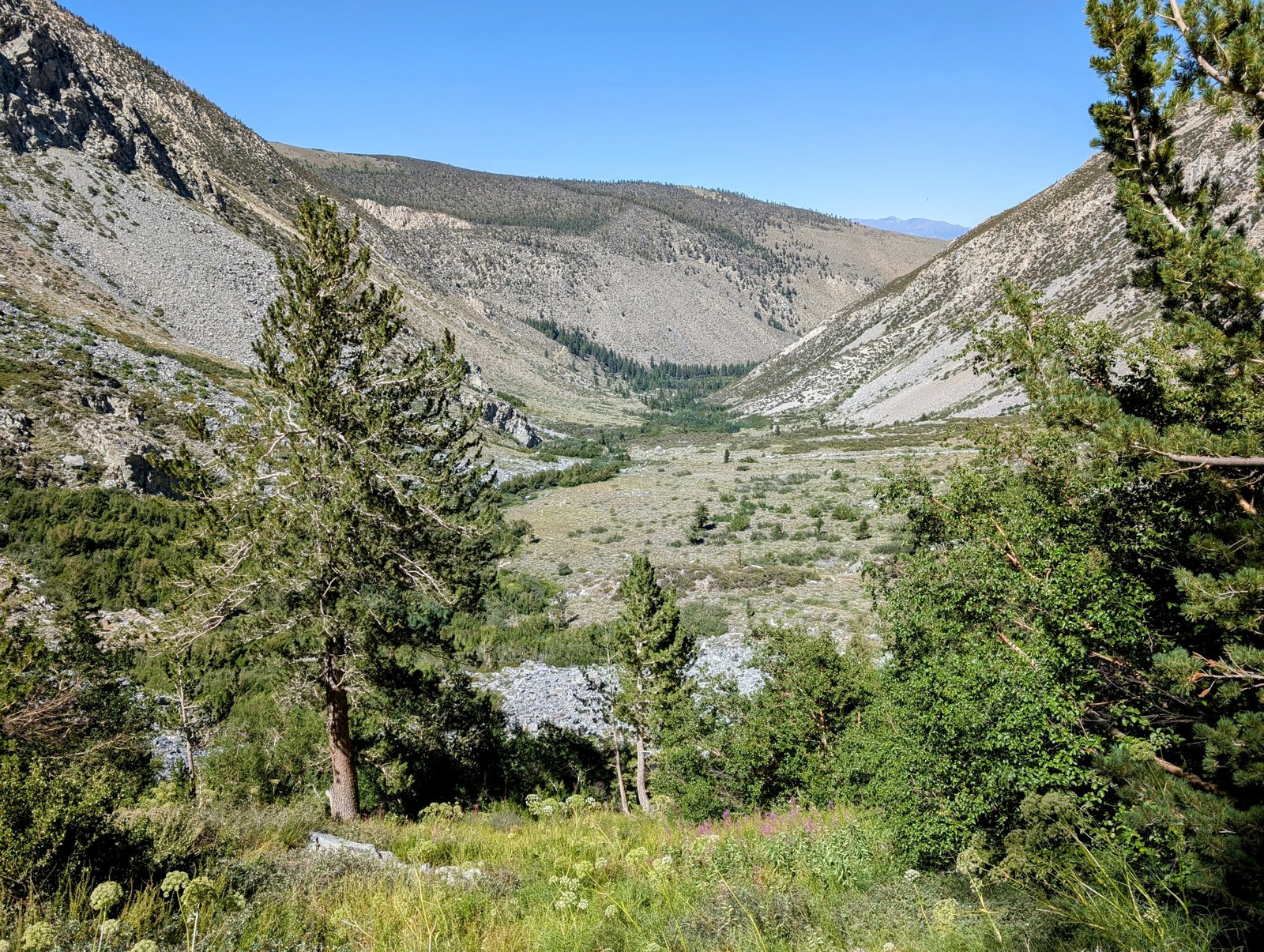 pxl_20240814_2204366972