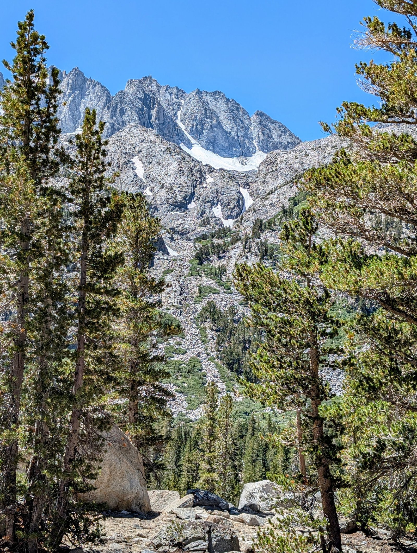 pxl_20240815_1856155542