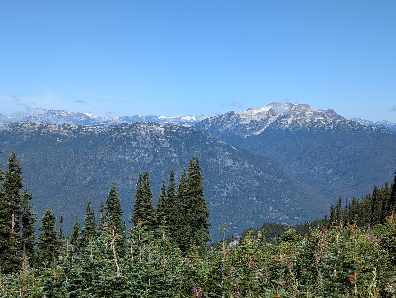 pxl_20240828_175113724