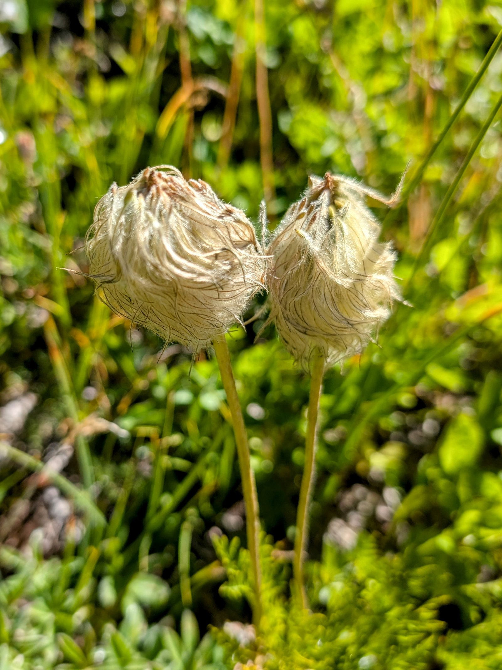 pxl_20240828_1911040202