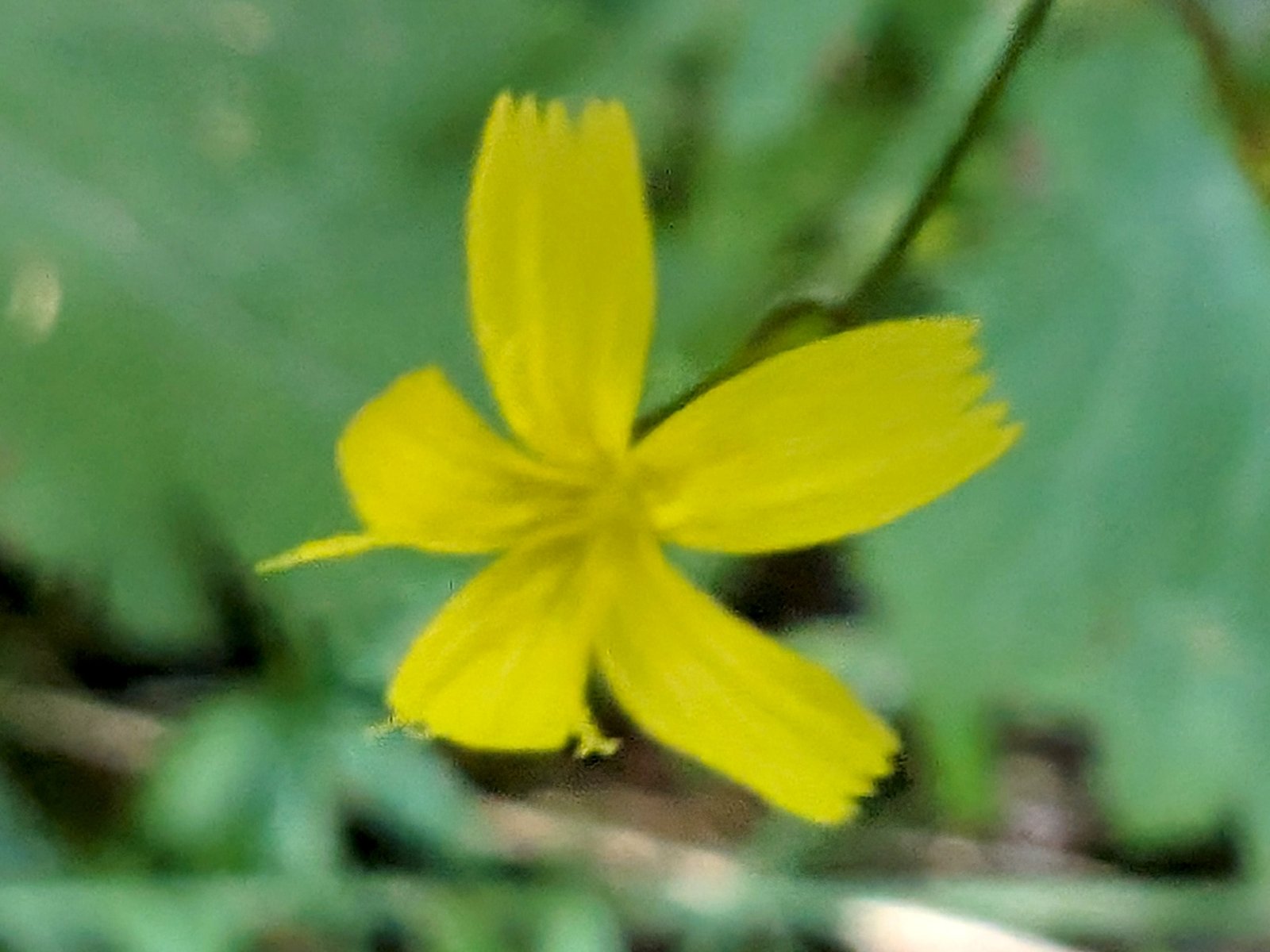 pxl_20240830_1801155072