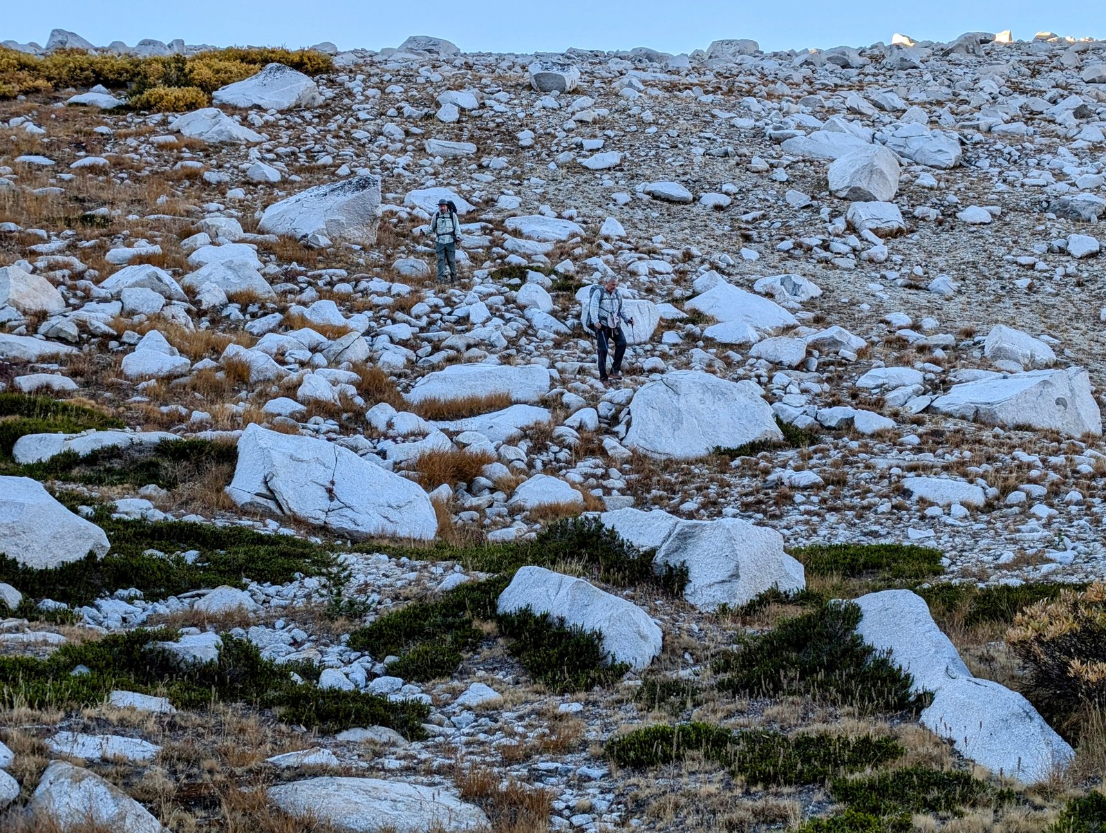 pxl_20241001_1439385922