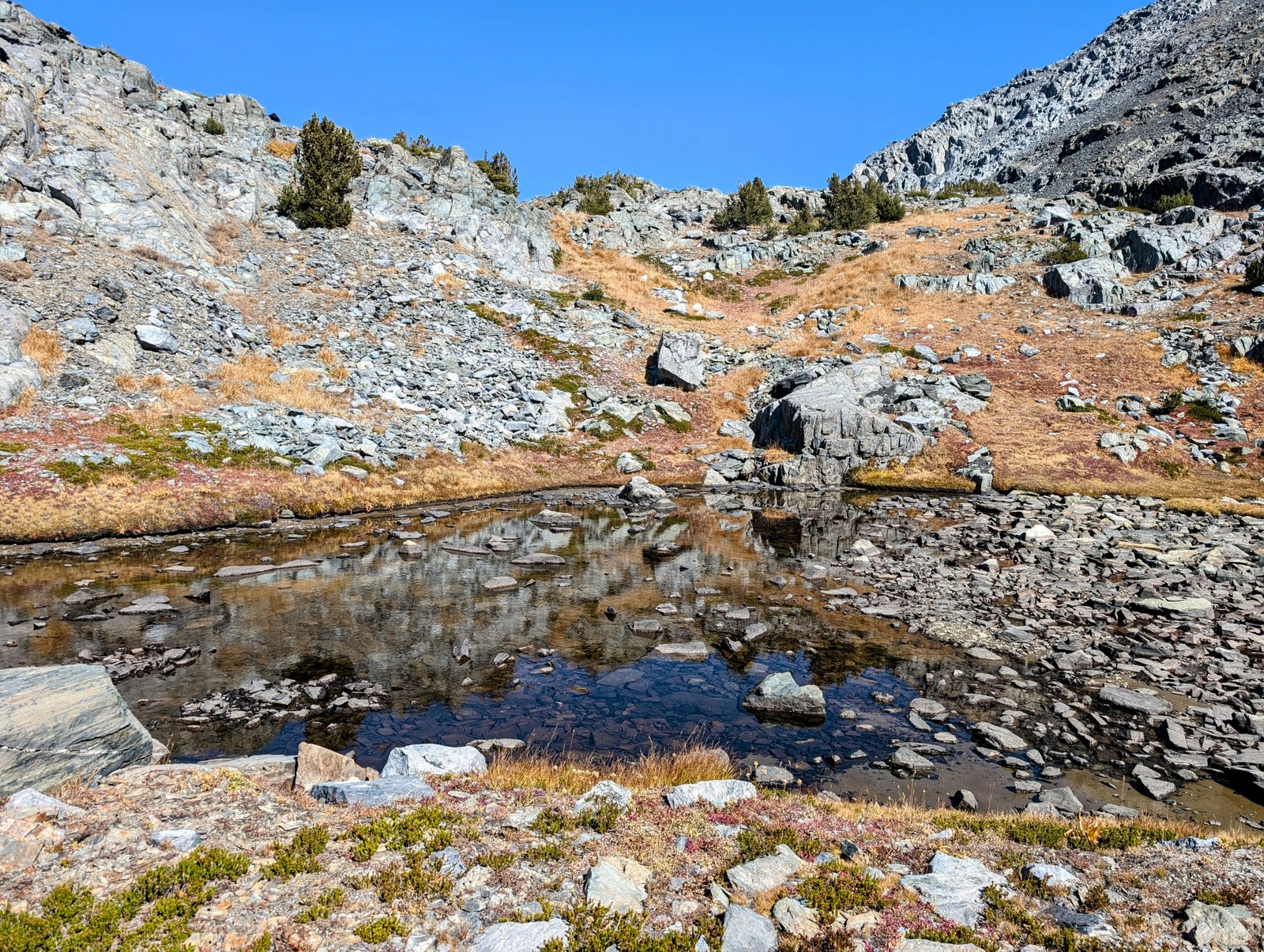 pxl_20241001_2049560742