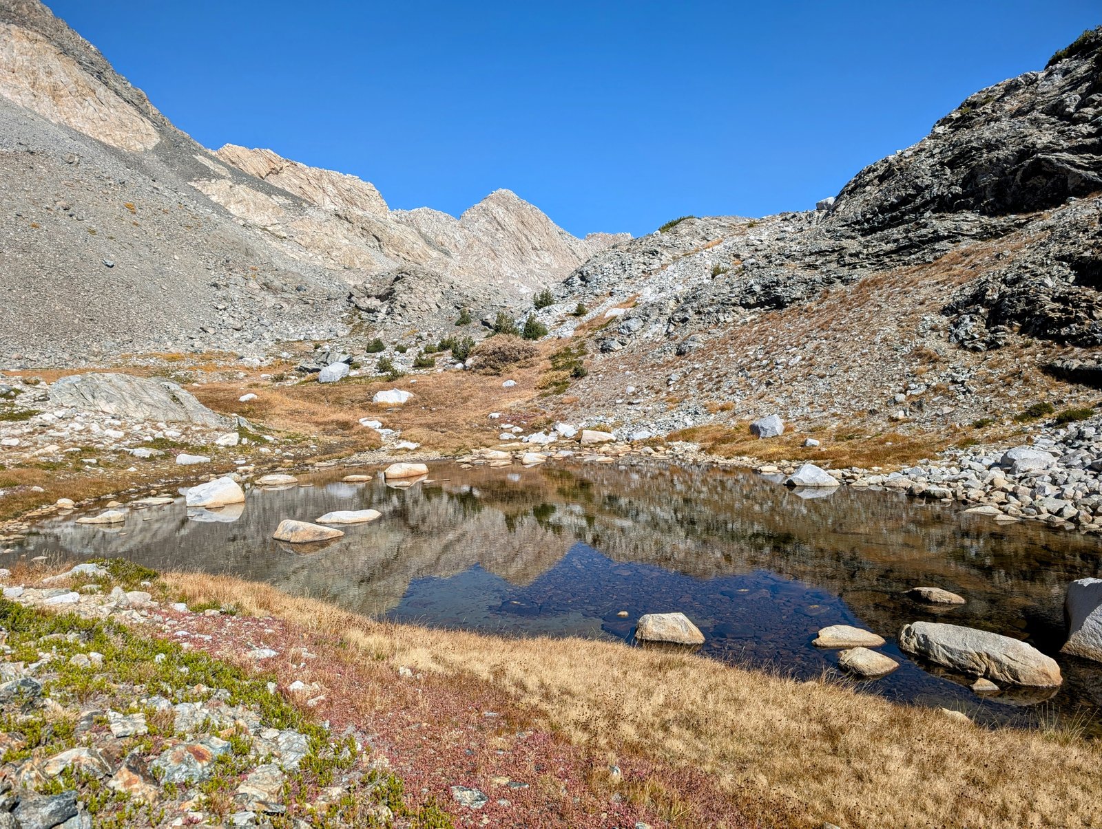 pxl_20241001_2140049242