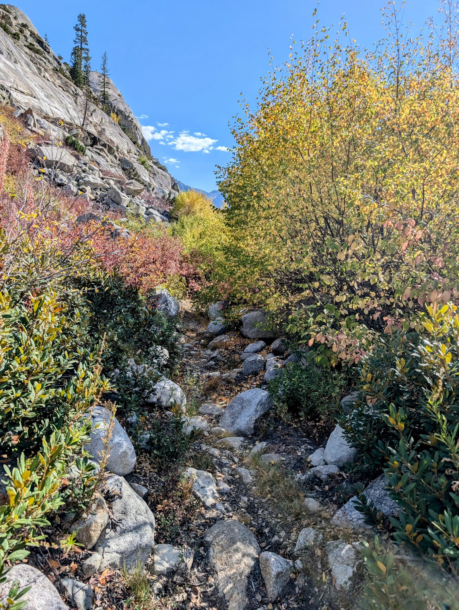 pxl_20241002_2152181802