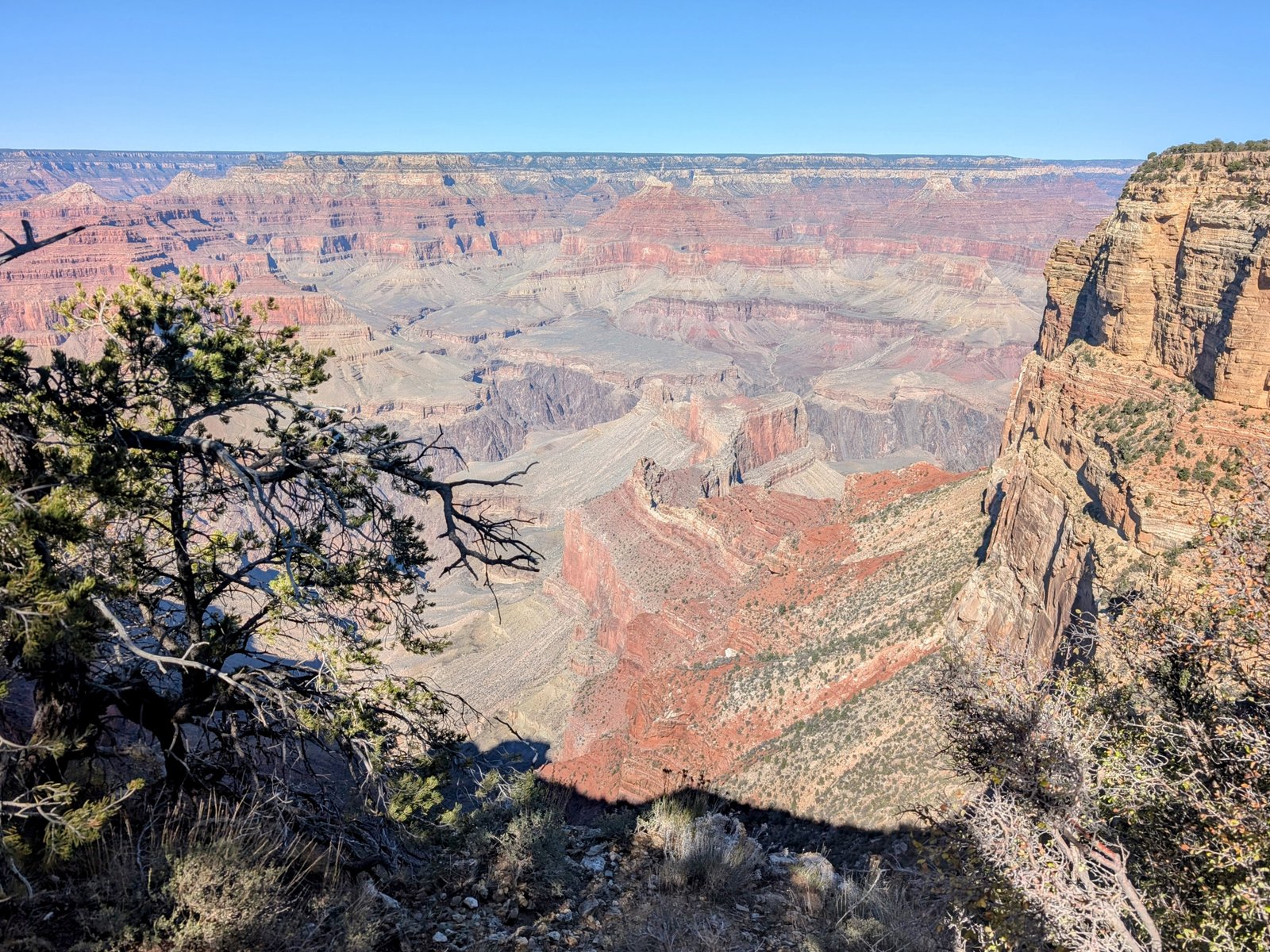 pxl_20241022_2051225032